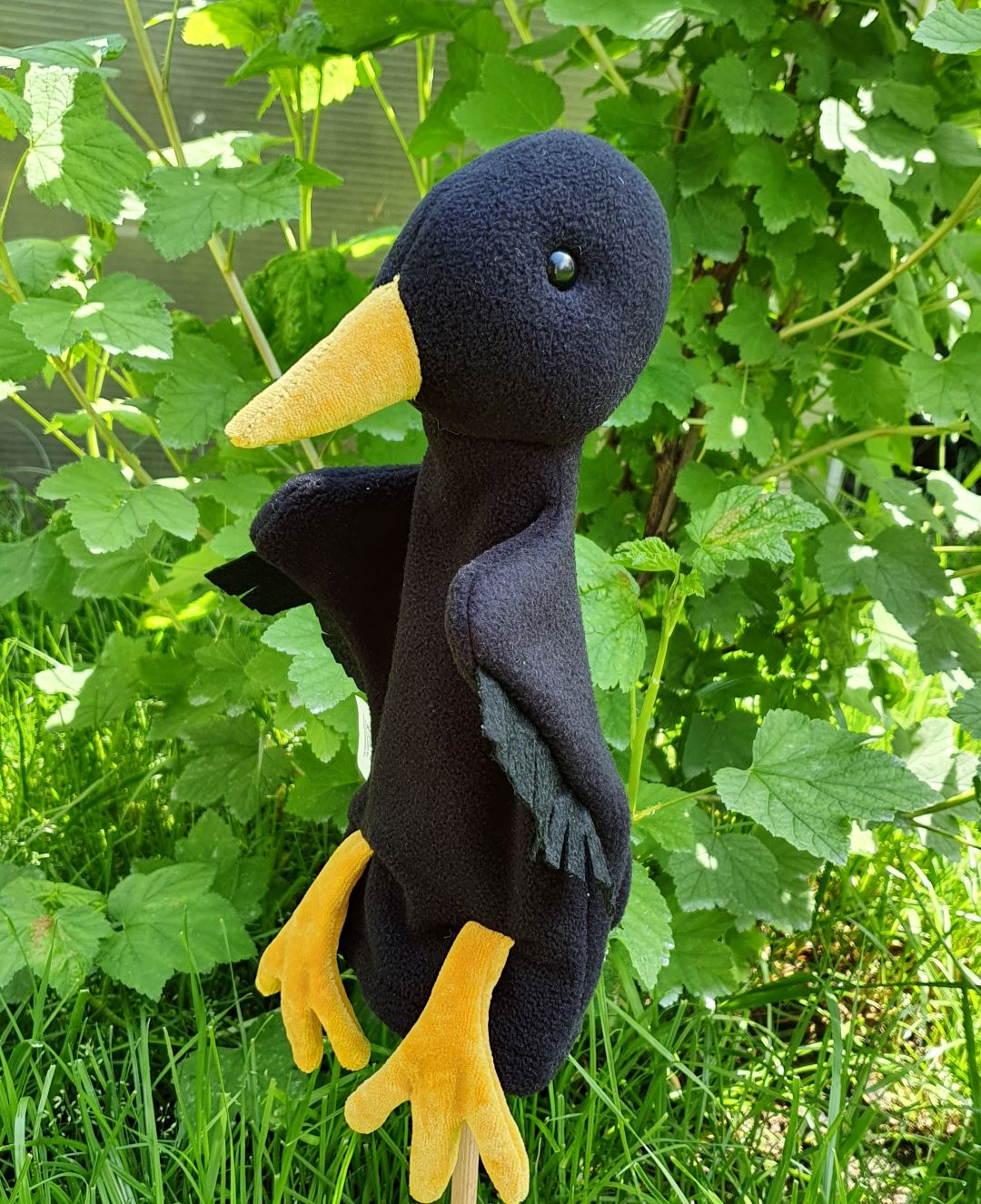 Fekete rigó kézbáb